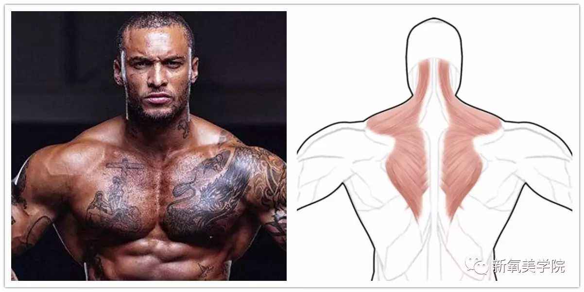 嘿，你被“肩宽”这个词儿困扰过吗？买衣服时一脸懵，健身时搞不清自己算啥体型？别急，咱们今天就唠个明白，帮你把“肩宽”这个事儿彻底整清楚！