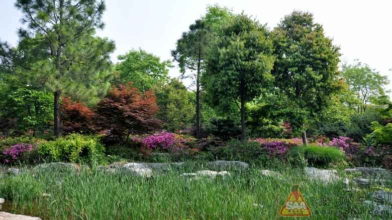 园园的什么整理术幼儿园老师们的收纳教学经