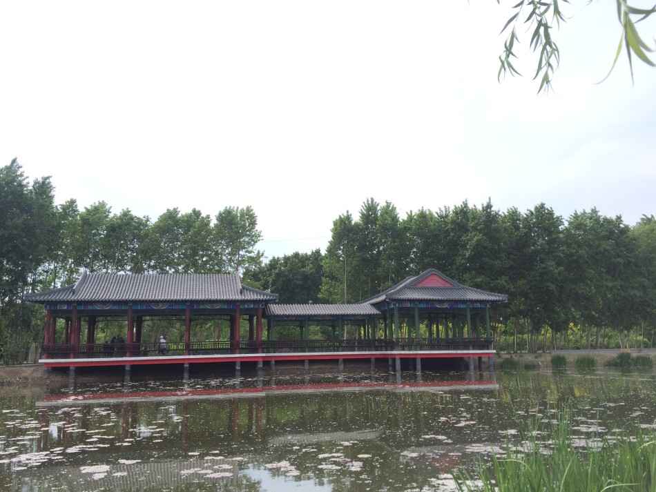 园园的什么整理术幼儿园老师们的收纳教学经  第2张