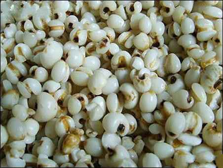 寻味米豆：这颗被低估的“营养豆”究竟藏着多少惊喜