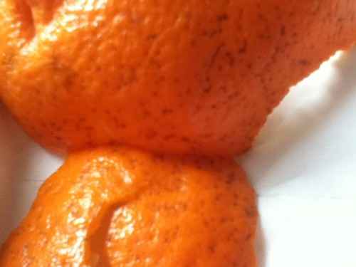 探寻上青之色：一抹穿越古今的东方青韵