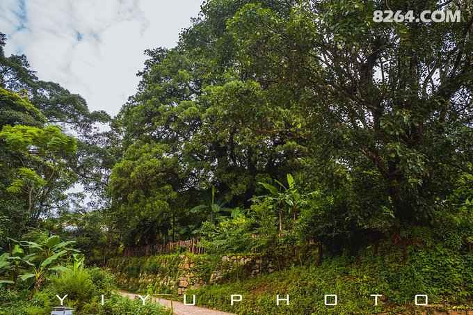 探寻浅秋的意境与生活美学