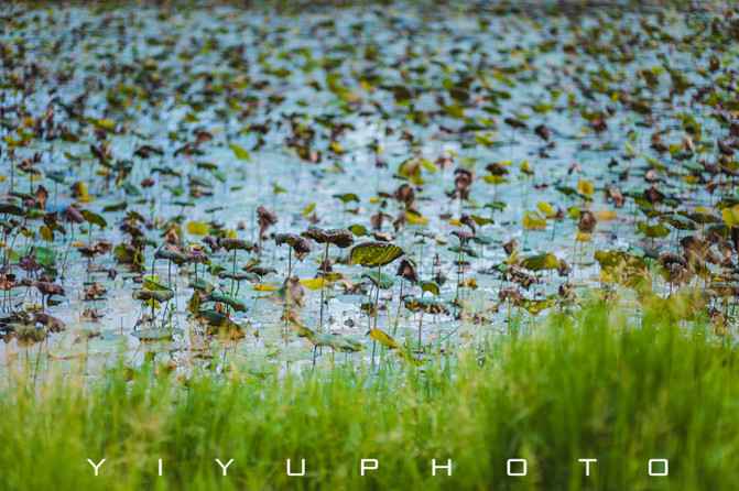 探寻浅秋的意境与生活美学  第2张