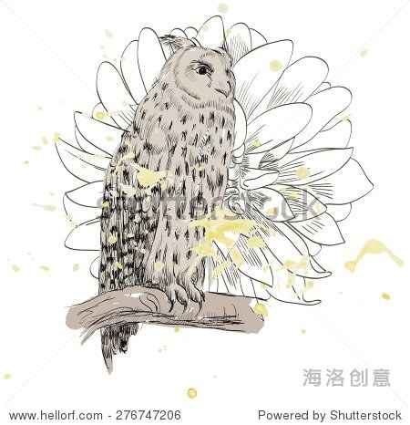 猫头鹰是啥牌子？从安全座椅到香浓咖啡，同名不同命的品牌故事  第2张