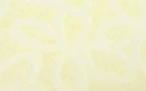 白色整理秘籍让你的家焕然一新  第2张