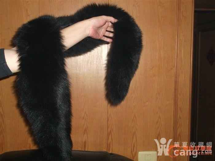 皮毛整理秘诀大公开轻松打理你的珍贵皮毛  第2张