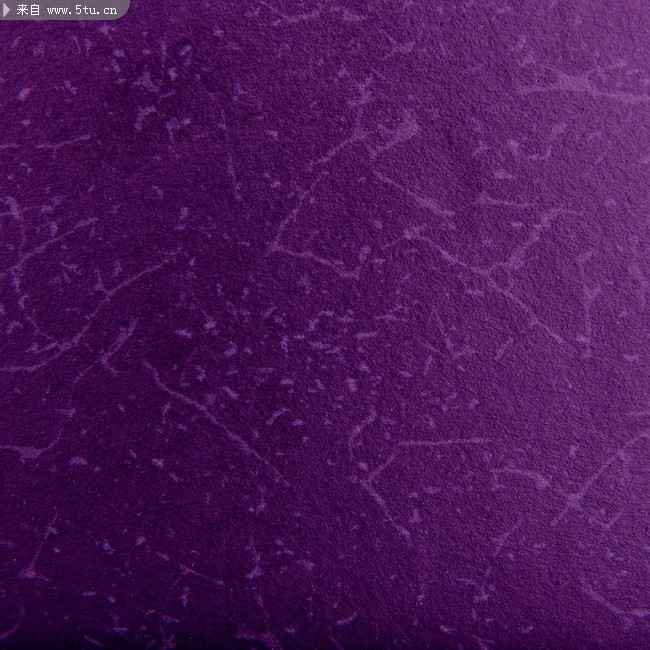 紫色全知道 从穿搭到文化一次搞懂各种紫色魅力  第2张