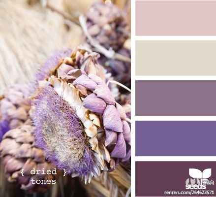 紫色搭配全攻略 解锁神秘高贵的时尚密码  第2张